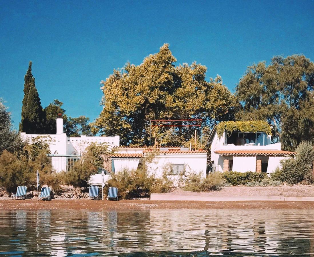 The Artist'S Farm Villa Dhiyellótika Екстериор снимка